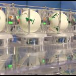 Behind the Scenes: The Fort Knox-Level Security of Lottery Draws