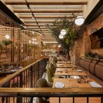 Biophilic Design Beyond Plants: Integrating Water, Air, and Natural Light