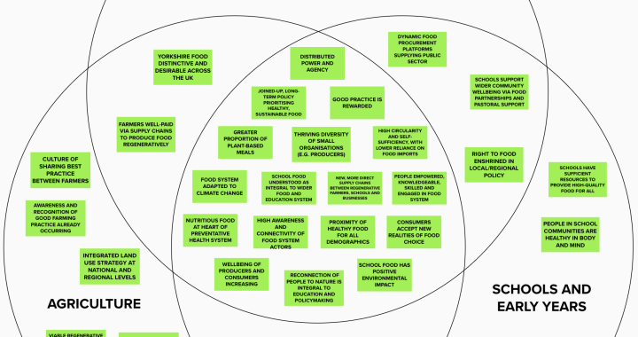 featured-image-1773014738179-15c37f45